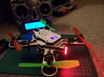 Build complete and quad linked to transmitter